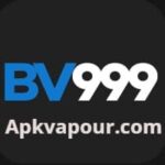 BV999 Game